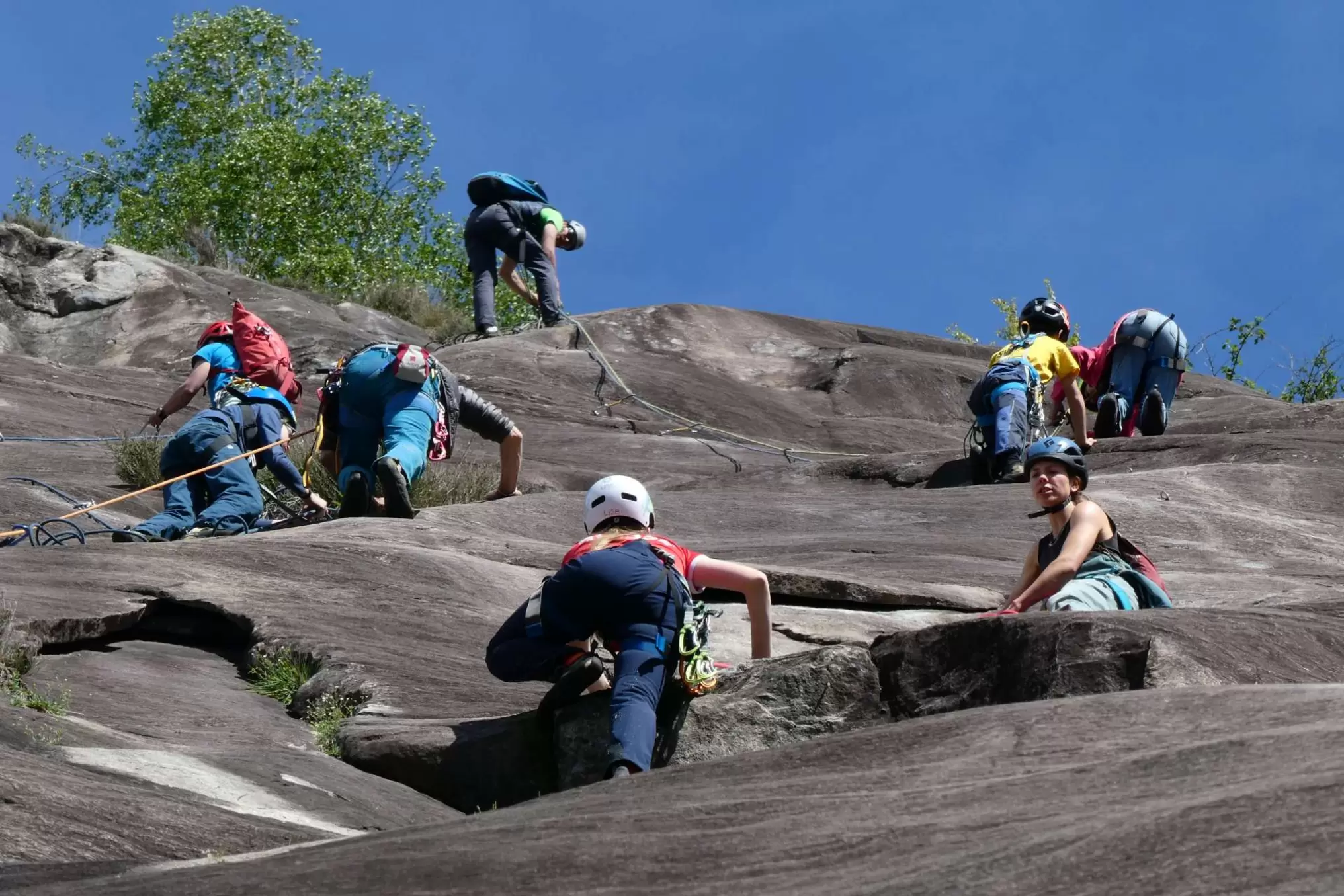 Eine Gruppe von Kletterern mit Helmen und Klettergurten klettert bei strahlend blauem Himmel eine steile Felswand hinauf, wobei sie zur Sicherung Seile benutzen. Einige klettern, während andere auf den Felsen eine Pause einlegen.