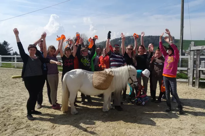 Gruppe mit Pferden im Grünen