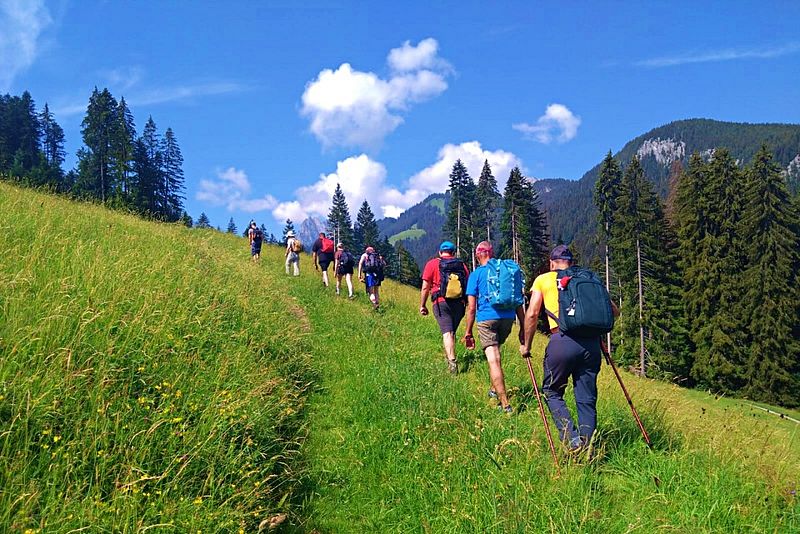Eine Gruppe von Wanderern mit Rucksäcken steigt einen grasbewachsenen Hügel hinauf, der von hohen Kiefern und Bergen umgeben ist, unter einem blauen Himmel mit vereinzelten Wolken.