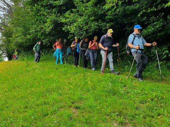 Eine Gruppe von Wanderern mit Rucksäcken und Wanderstöcken läuft an einem hellen, leicht bewölkten Tag in einer Reihe über einen von dichten grünen Bäumen gesäumten Grasweg.
