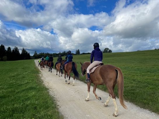Eine Gruppe von Menschen reitet auf einem Schotterweg durch ein grünes Feld unter einem teilweise bewölkten blauen Himmel. Die Reiter tragen Helme und bewegen sich von der Kamera weg. Der Hintergrund ist von Bäumen gesäumt.