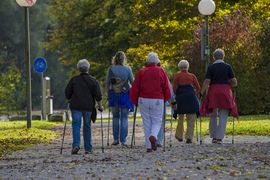 Sechs ältere Menschen gehen gemeinsam mit Stöcken durch einen Park. Sie sind von hinten zu sehen, in legerer Outdoor-Kleidung, umgeben von grünen Bäumen und Laub auf einem Schotterweg.