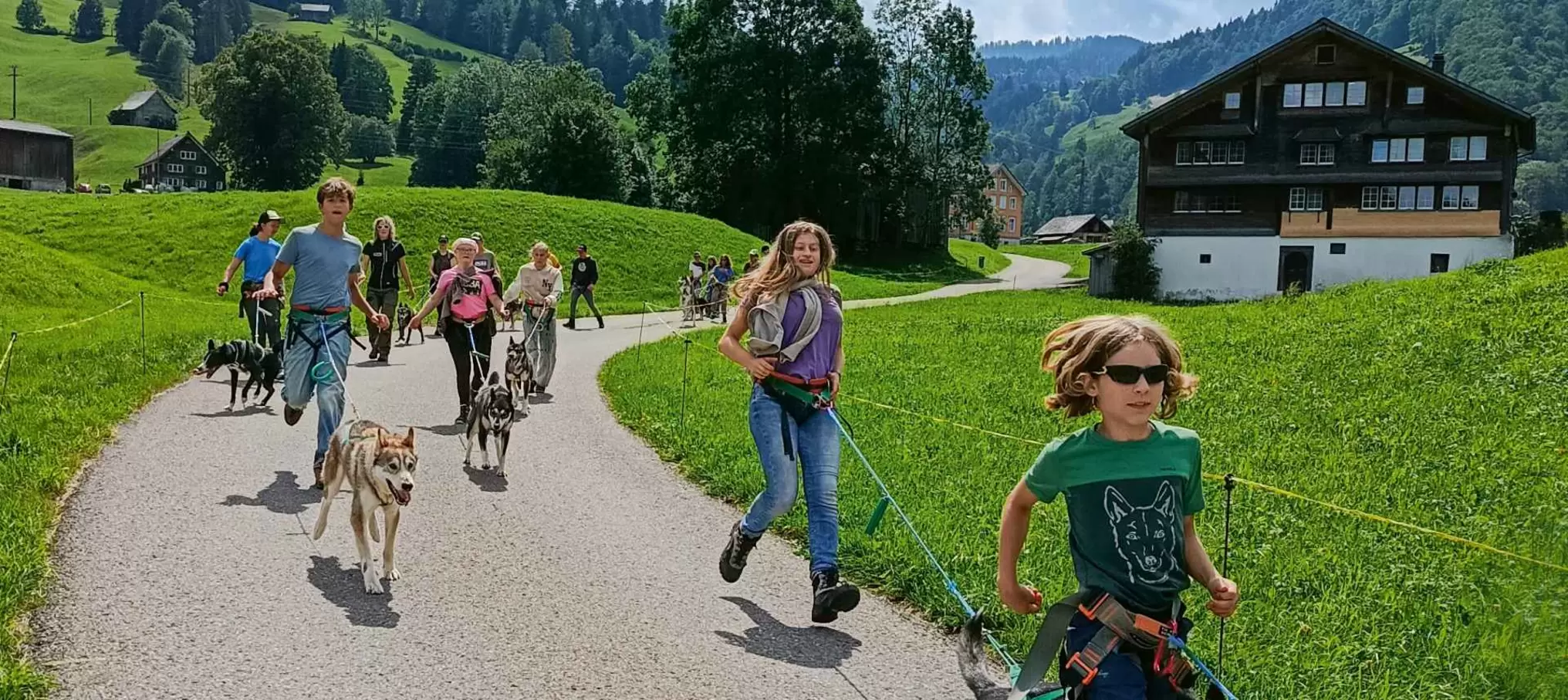 Eine Gruppe von Menschen, darunter auch Kinder, läuft mit angeleinten Hunden auf einem Feldweg inmitten grüner Wiesen, Bäume und Almhütten, im Hintergrund sind Berge zu sehen.