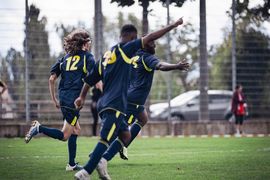 Drei Fußballspieler in marineblauen und gelben Trikots rennen und jubeln auf einem Rasenplatz, wobei ein Spieler nach vorne zeigt. Im Hintergrund sind ein Zaun, Bäume, geparkte Autos und eine gehende Person zu sehen.