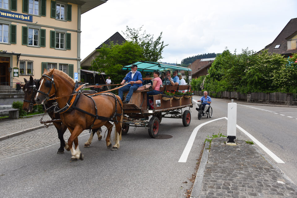Gemütliche Rösslikutschenfahrt bei warmem Wetter in Langnau
