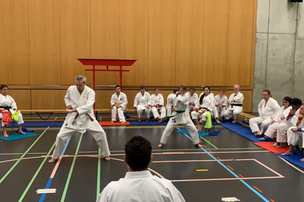 Karatecamp in Sumiswald