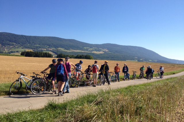 Wandergruppe im Grünen Wandergruppe auf einem Feldweg