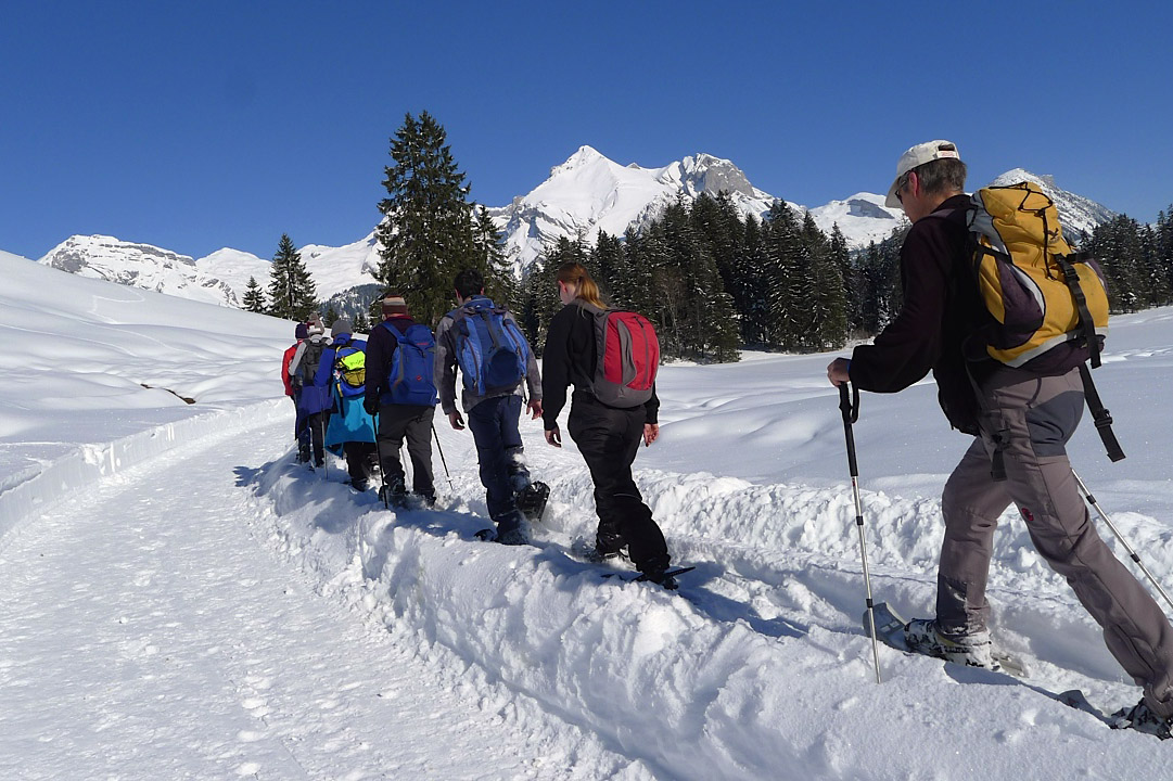 Schneeschuhwanderung bei blauem Himmel Wandergruppe in Schneeschuhen bei blauem Himmel