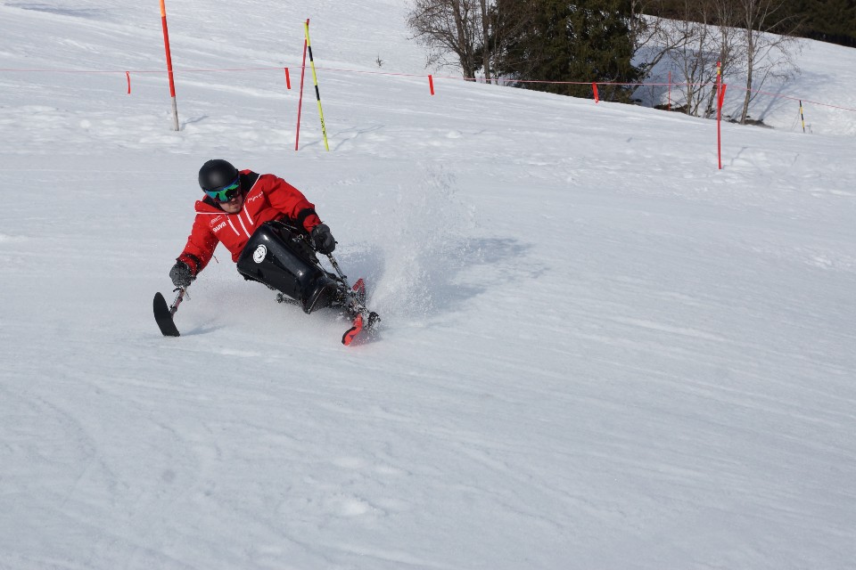 Eine Person, die eine rote Jacke und einen Helm trägt, fährt mit einem Sitzski einen verschneiten Hang hinunter und erzeugt bei einer scharfen Kurve eine Schneeschaukel. Im Hintergrund sind rote Stangen und Bäume zu sehen.